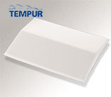 Tempur Bed Back Support